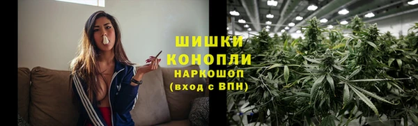 хмурый Аркадак
