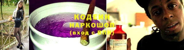 хмурый Аркадак