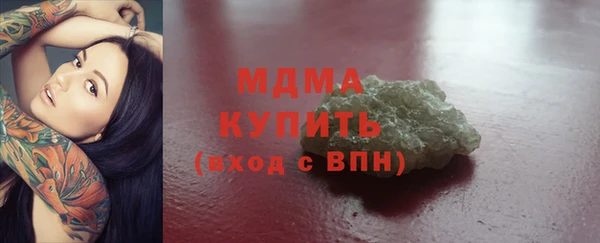 хмурый Аркадак