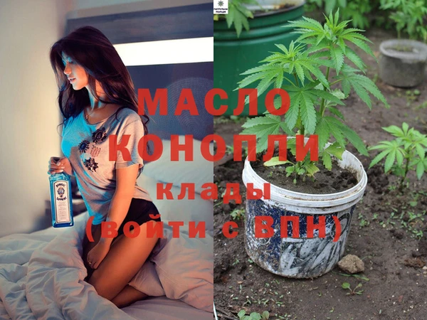 хмурый Аркадак