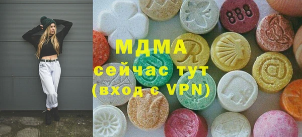 хмурый Аркадак