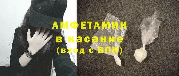 хмурый Аркадак