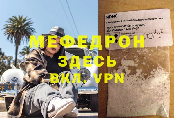 хмурый Аркадак