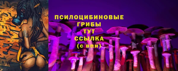 ECSTASY Баксан