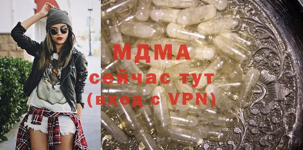 хмурый Аркадак