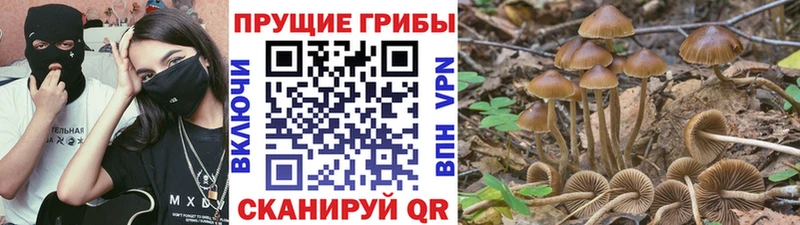 Галлюциногенные грибы GOLDEN TEACHER  купить наркотики сайты  Мензелинск 
